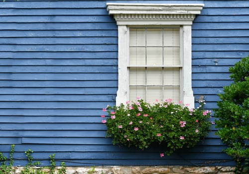 Freshly painted home exterior with crisp white trim